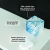image:imageShashibo DODECA Magnetic Puzzle Cube Stress Relief Fidget ToyChameleon